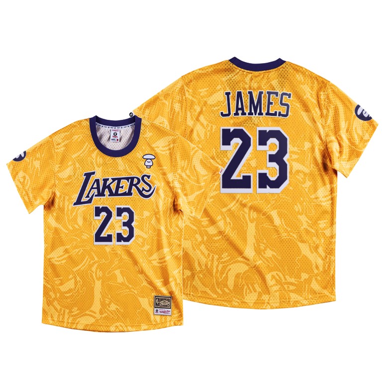 Men's Los Angeles Lakers LeBron James #23 NBA M&N x Aape Hardwood Classics Gold Basketball Jersey LRD3383RD